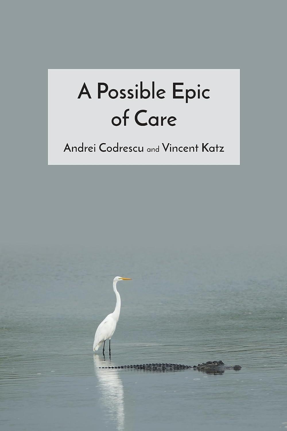 APossibleEpicofCare2023