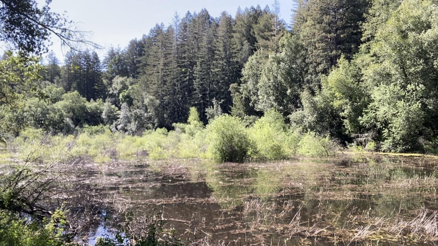 S2 13 Springtime at London Lake