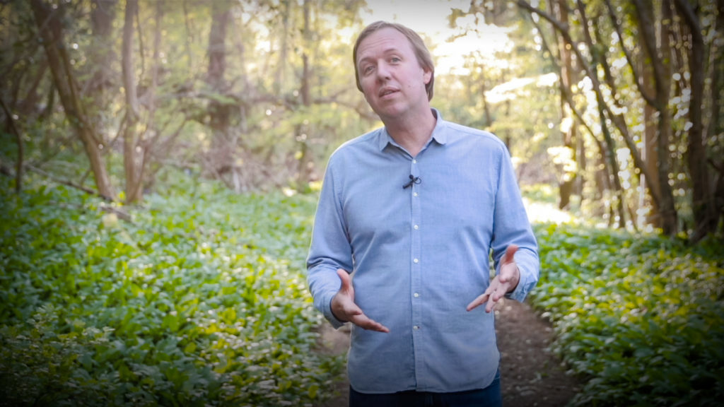 tomrivettcarnac 2020s