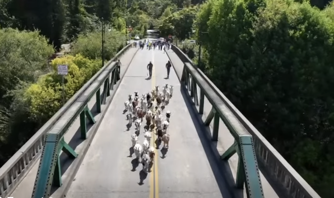 Screenshot 2025 09 25 at 7.33.09 AM