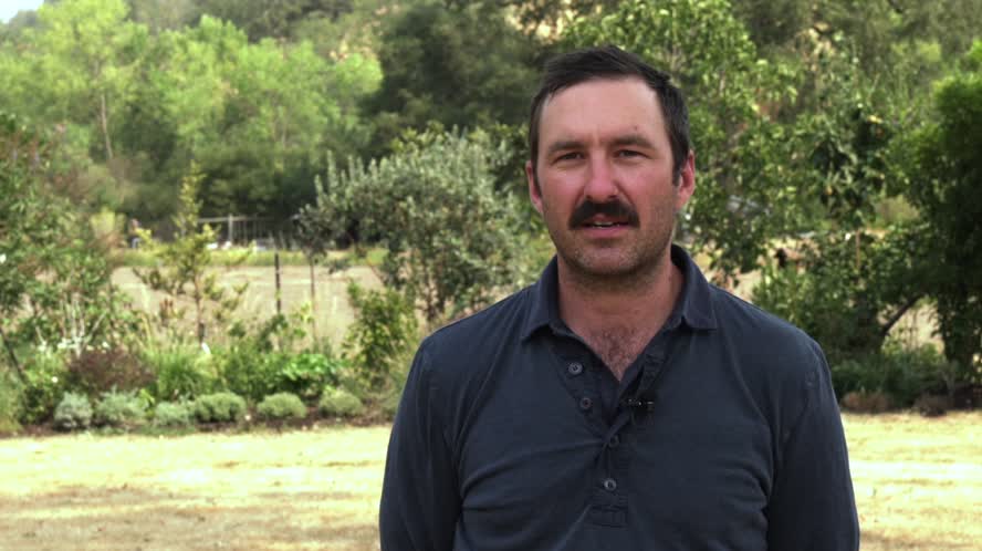 Growing Food During a Drought