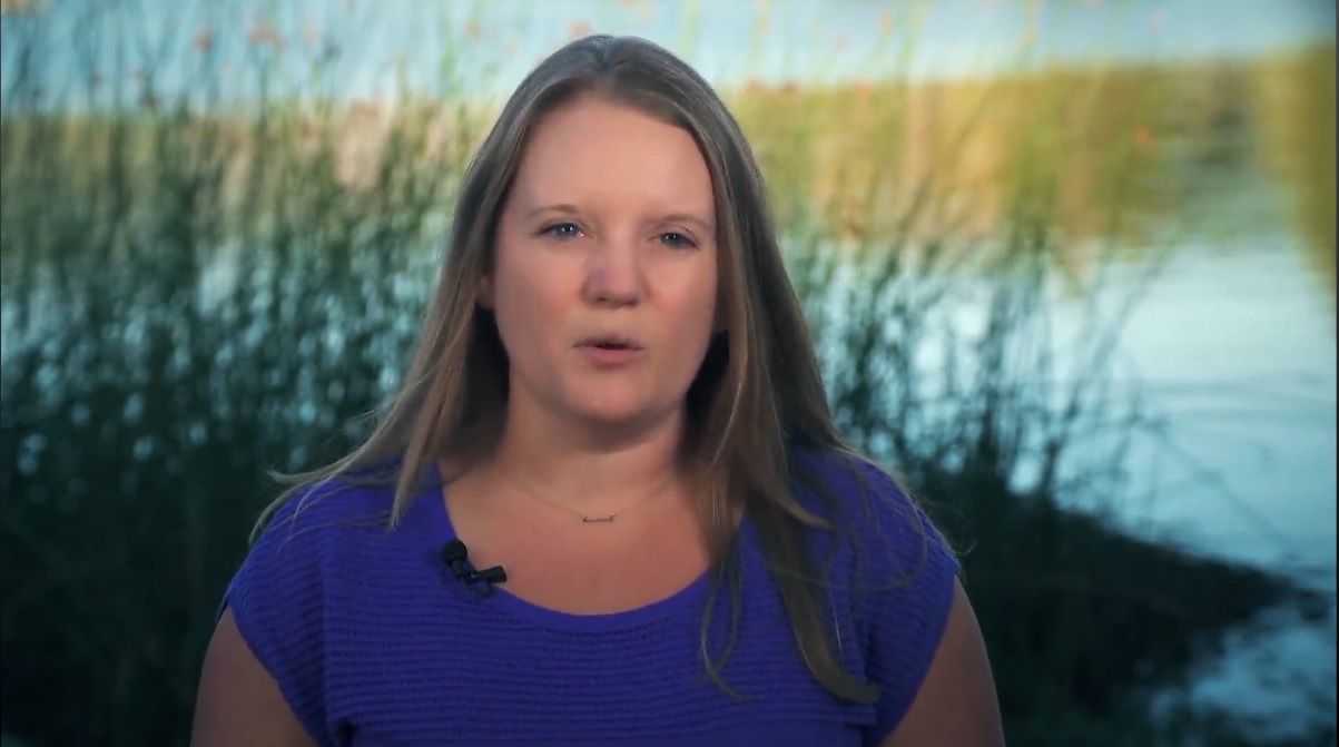 Watershed Radio - Pt3