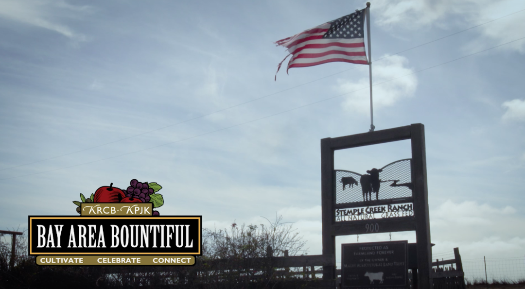 Carbon Farming and Ranching Short Story