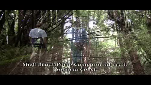 Pomo Canyon to Shell Beach, Jenner