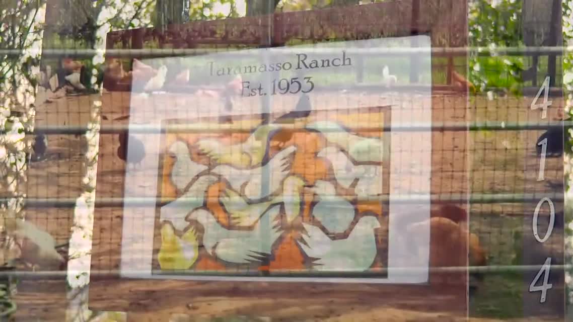 FarmShorts: Taramasso Ranch