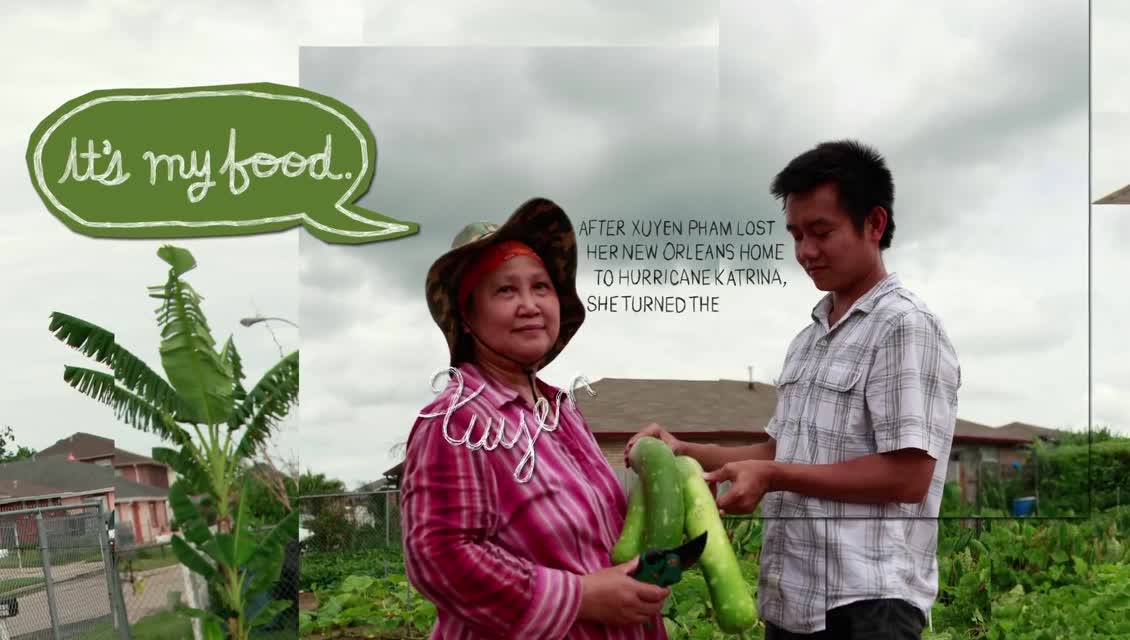 Lexicon of Sustainability - Food Security